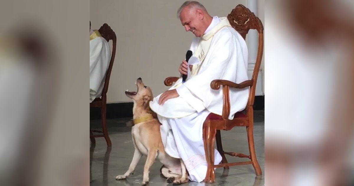 dog-and-priest