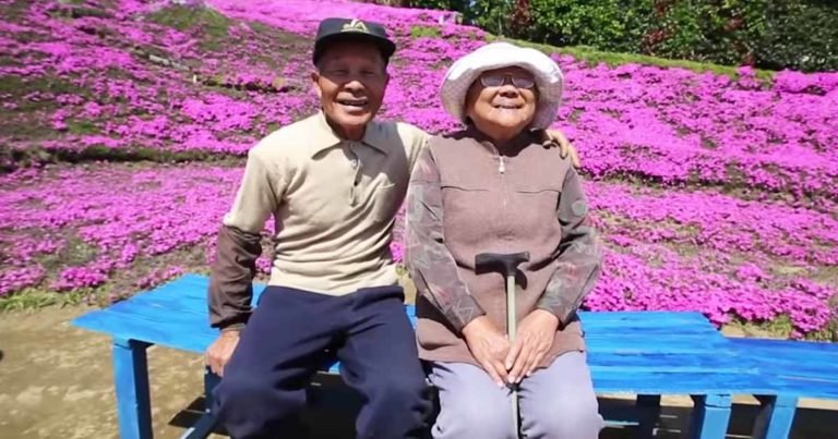 Japanese-husband-makes-garden-for-blind-wife-7