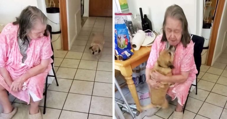 Dog reunites with grandma after hospital visit
