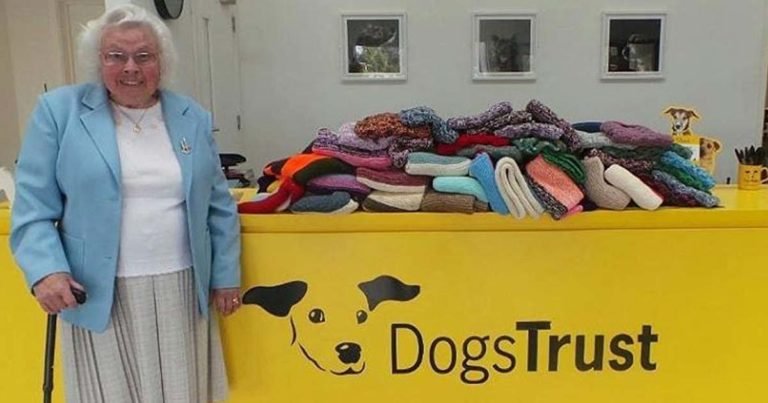 elderly-knits-clothes-for-shelter-dogs-main