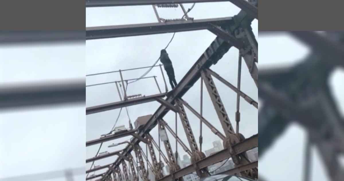 plumber-saves-suicidal-man-brooklyn-bridge