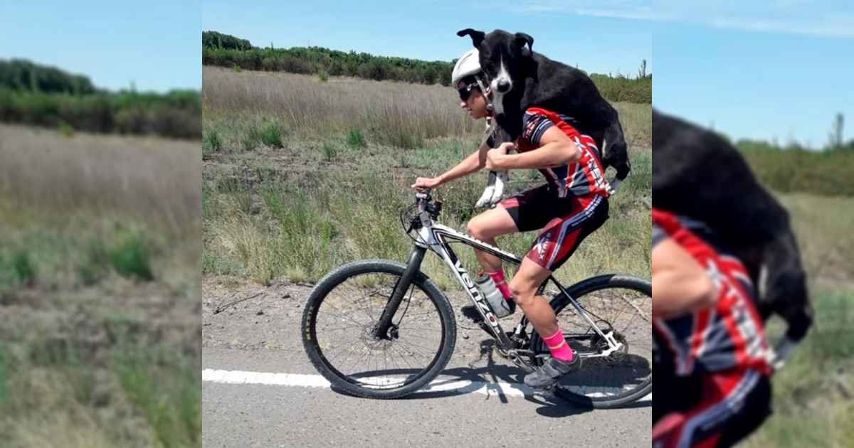 cyclist-carries-dehydrated-dog