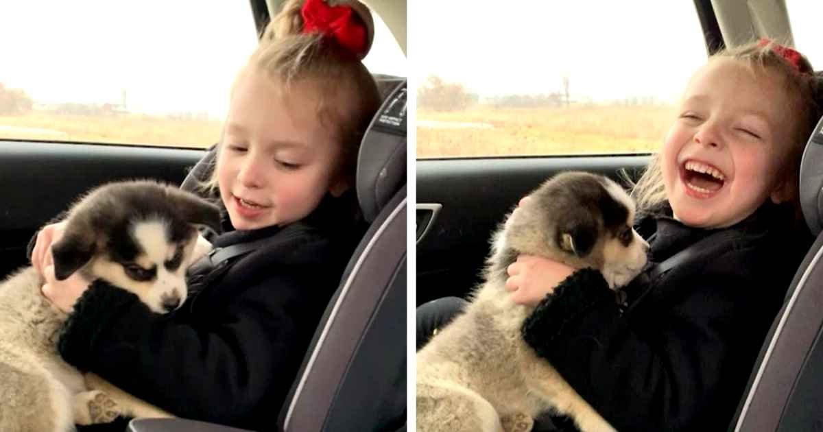 girl-with-cerebral-palsy-gets-puppy