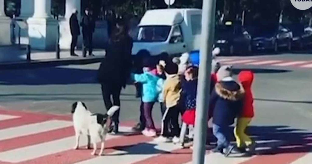 Stray Dog Helps Children Safely Cross Busy Street | FaithPot