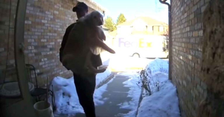 fedex-driver-delivers-lost-dog