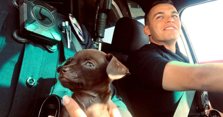 officer-adopts-puppy