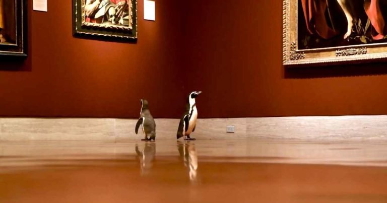 penguins-visit-museum