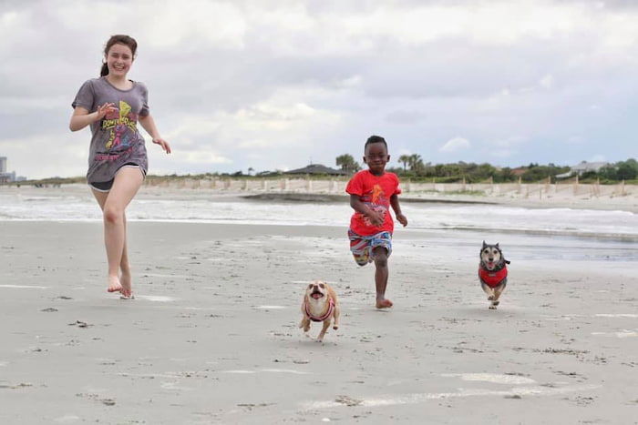 Tiny Chihuahua Helps Adopted Young Boy Overcome Fear Of Dogs With 