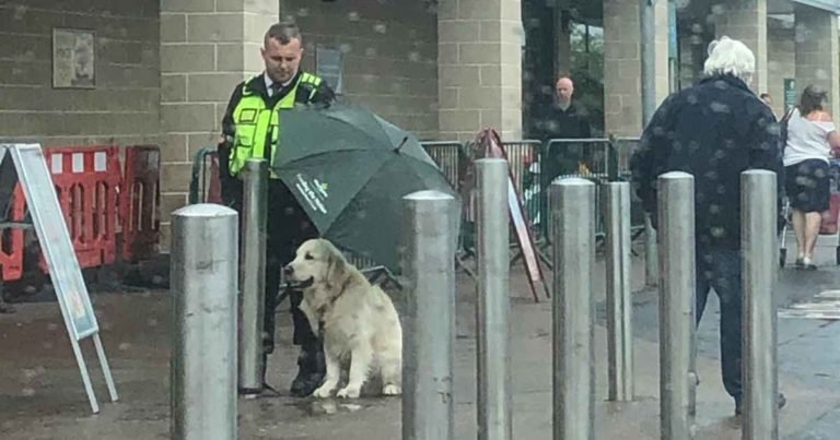 security-guard-protects-dog-from-rain