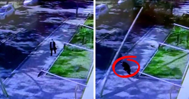 woman-escapes-falling-street-pole