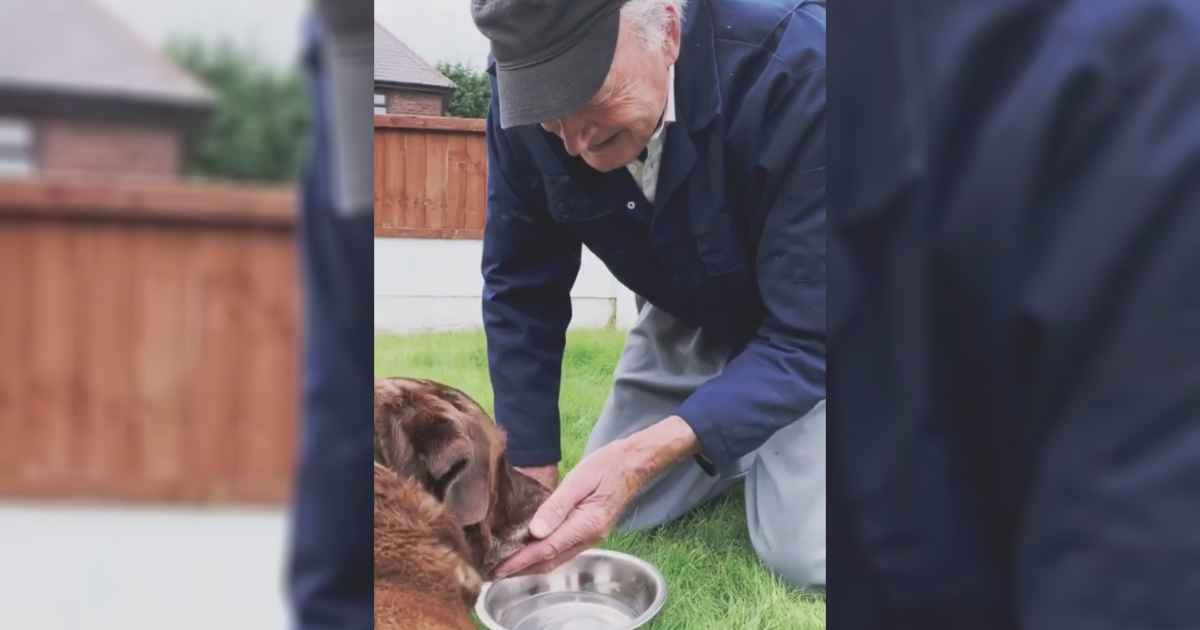 90-year-old-says-goodbye-to-dying-dog