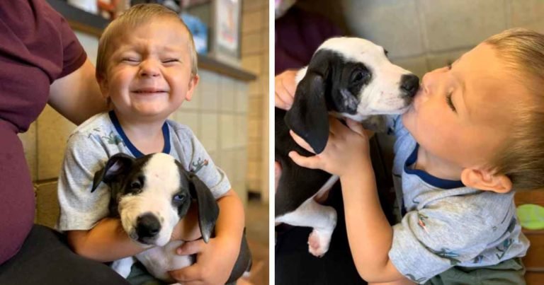 boy-with-cleft-lip-gets-puppy-with-same-condition-bentley