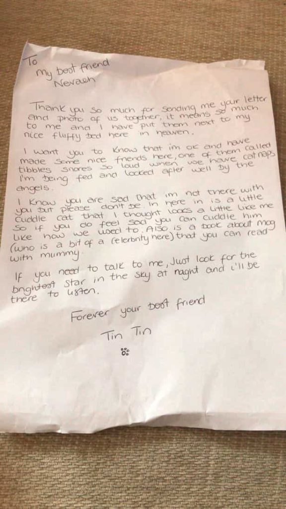 Little Girl Writes Letter To Cat In Heaven, She Gets A Surprise Back In ...