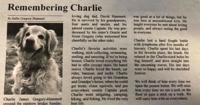 dog-obituary-charlie