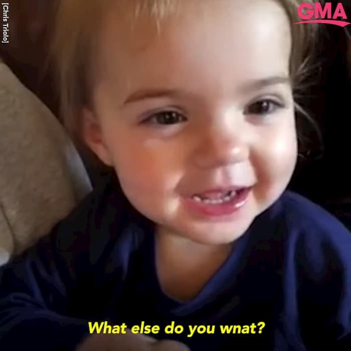 Toddler Has The Purest Response When Dad Asks Her About Her Christmas ...