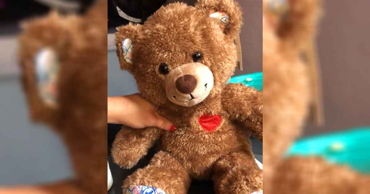 teddy-bear-surprise