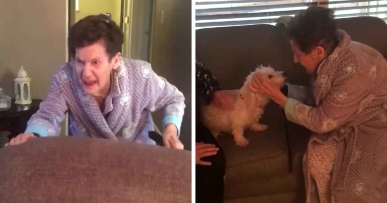 daughter-surprises-mother-with-rescue-dog