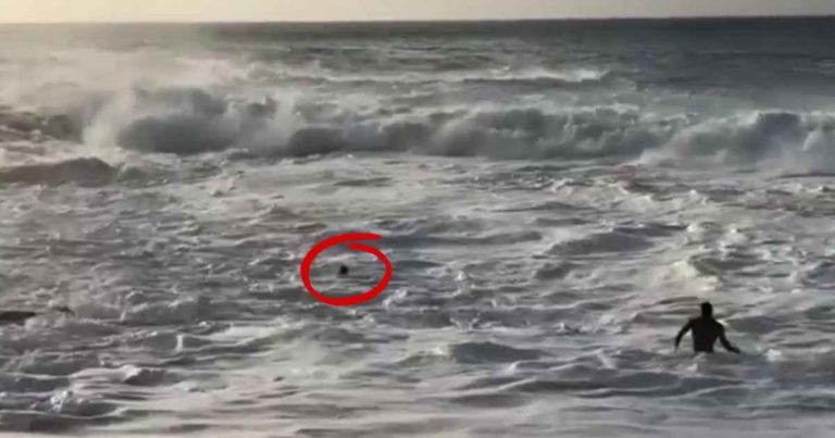 mikey-wright-rescue-video