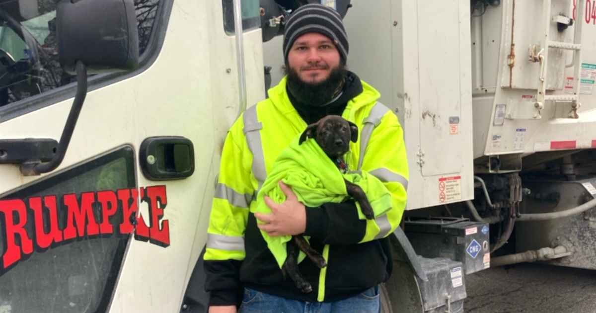 garbage-truck-driver-rescues-puppy