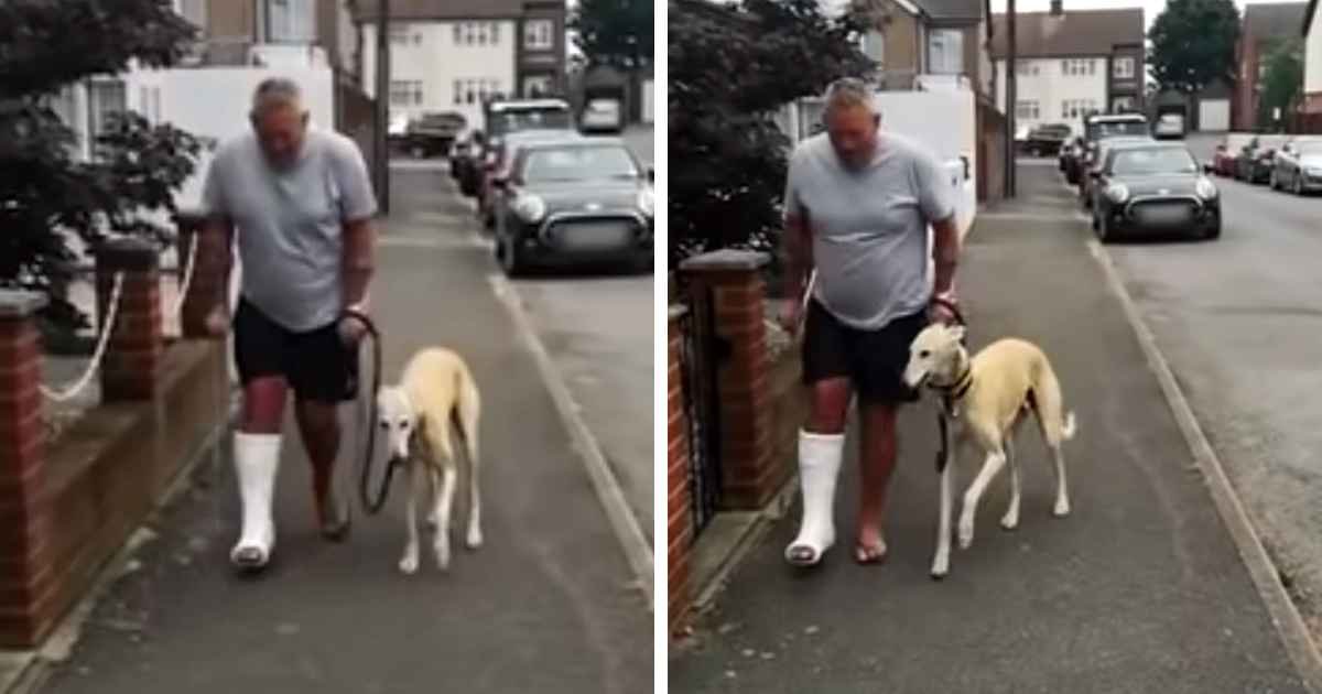dog-imitates-owner-on-crutches