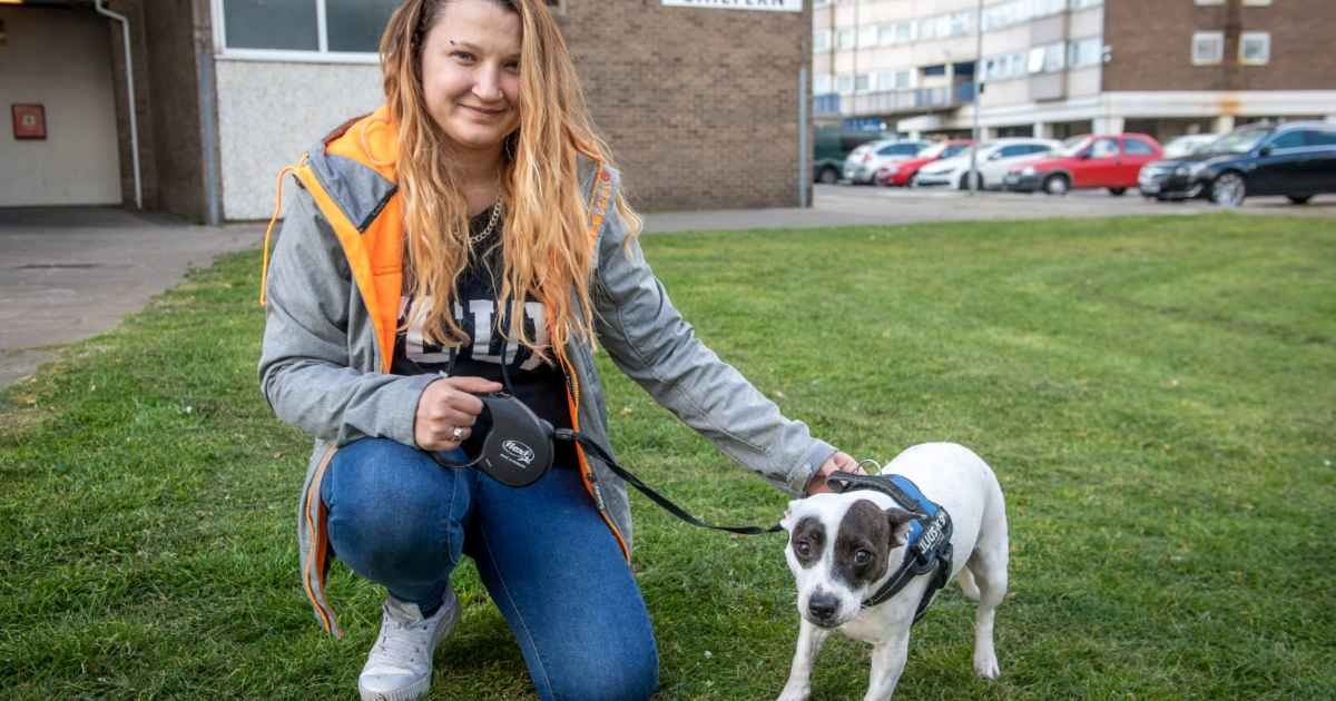 dog-saves-owner-from-knife-attack-amy-edmonson