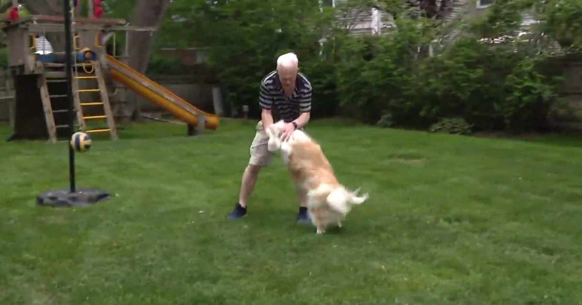 deaf dog reunited with deaf owner