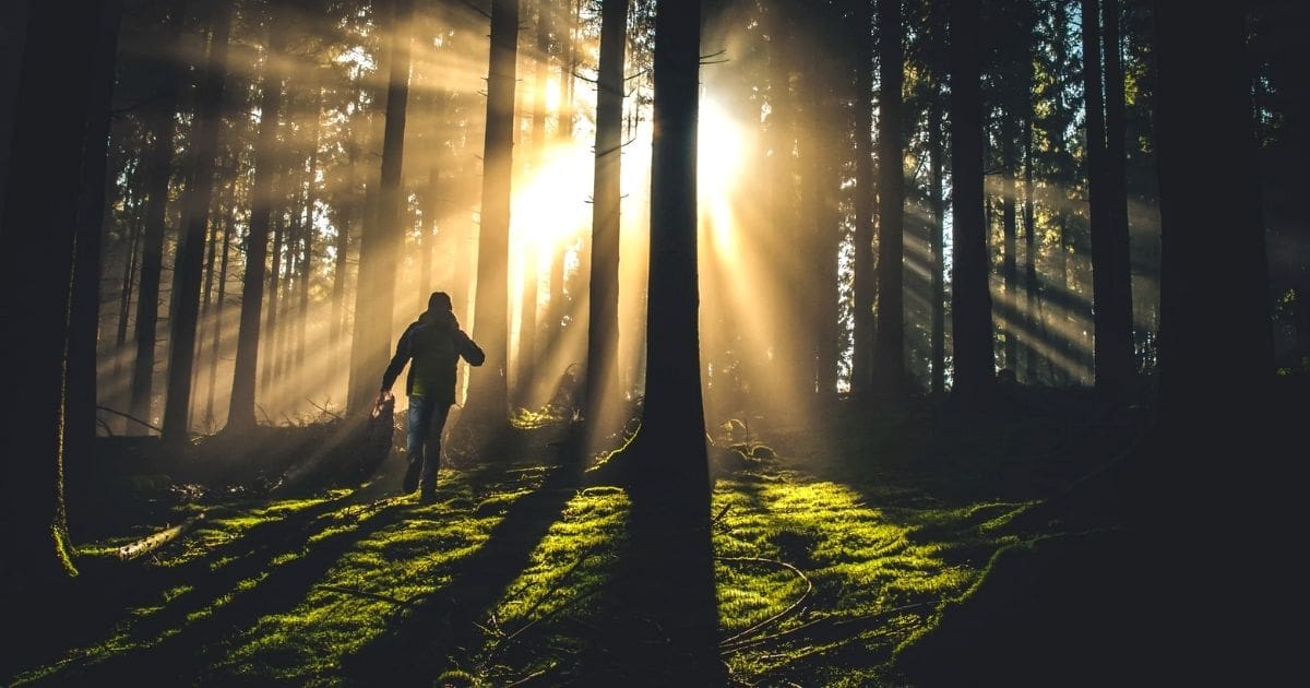 Bible Verses On Christians Walking In The Light Of God | FaithPot