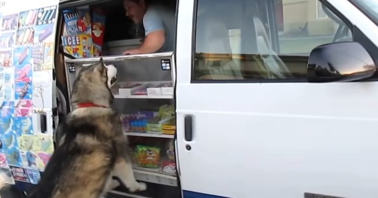 dog-says-ice-cream