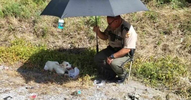 trooper-uses-umbrella-to-shade-dog