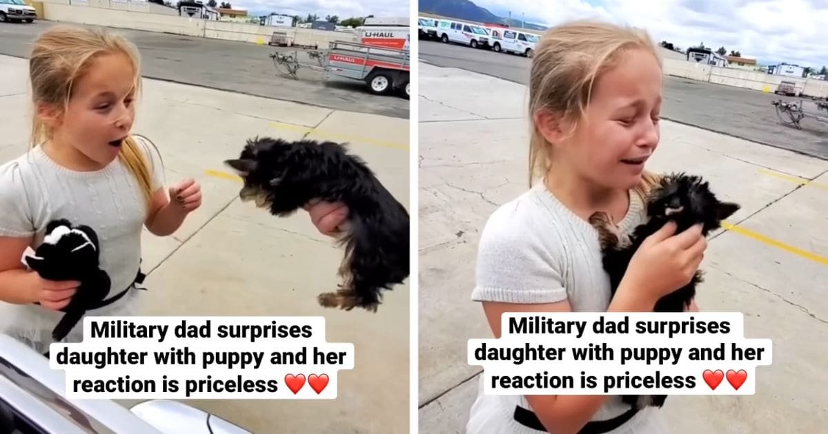 military-dad-surprises-daughter-with-puppy