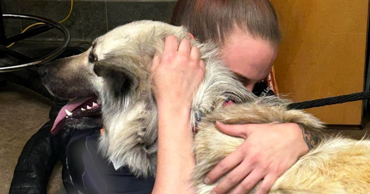 homeless-reunited-with-dog-lilo