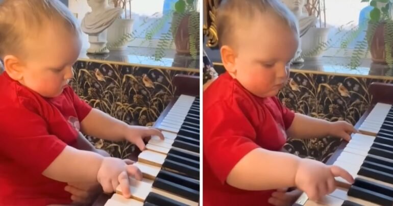 17 month baby plays piano