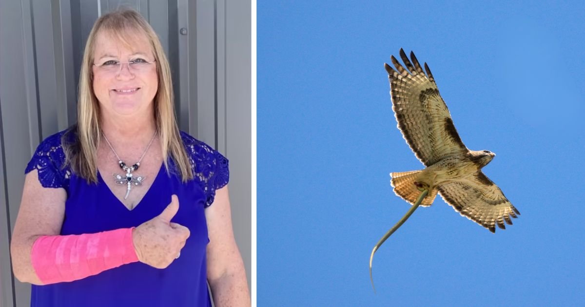 woman attacked by snake and hawk peggy jones