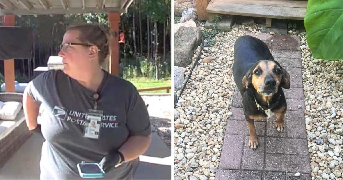 mail carrier saves dog