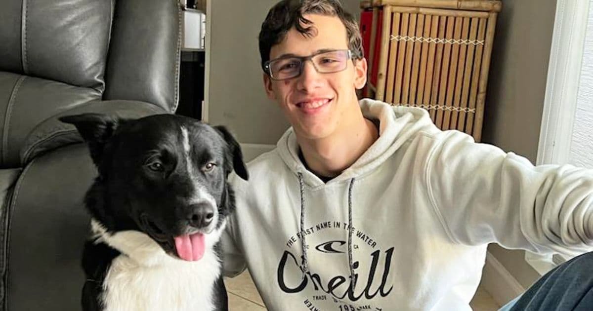 rescue dog saves teen suffering stroke