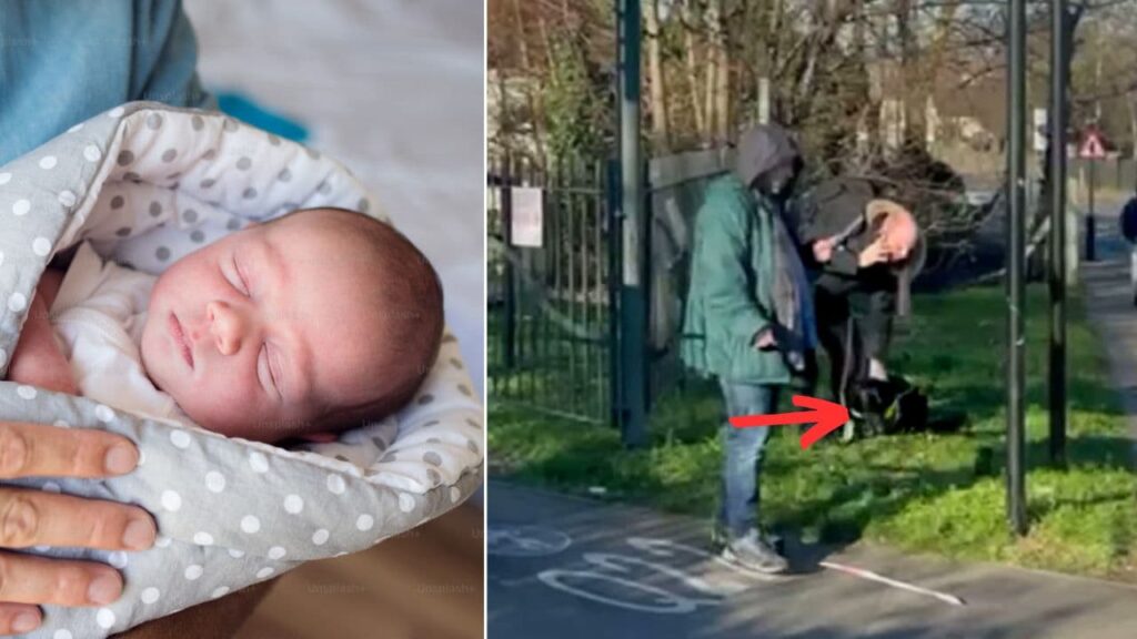 Dog Walker Finds Newborn Baby Alive In a Plastic Bag in Freezing Cold